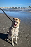 The 1890 Freeman House