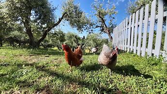 Glamping at an Agriturismo in the Vineyard