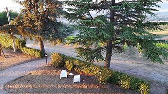 Glamping at an Agriturismo in the Vineyard