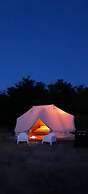 Glamping at an Agriturismo in the Vineyard