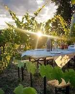 Glamping at an Agriturismo in the Vineyard