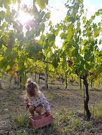 Glamping at an Agriturismo in the Vineyard