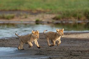 Africa Safari South Serengeti