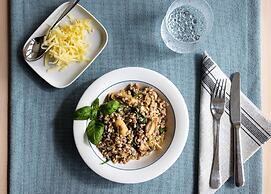 House of Northern Senses