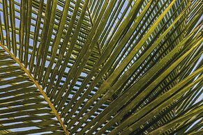 KA BRU 1100 Boutique Hotel