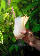 Marinell Collection Palm-Mar