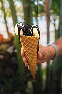 Marinell Collection Palm-Mar