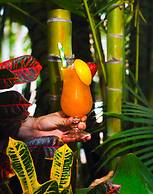 Marinell Collection Palm-Mar