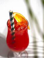 Marinell Collection Palm-Mar