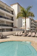 Marinell Collection Palm-Mar