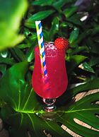 Marinell Collection Palm-Mar