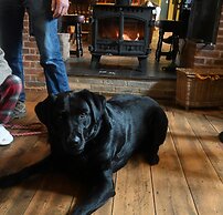 The Duke on The Test