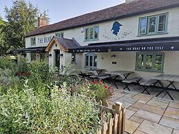 The Duke on The Test