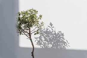 Cycladic Suites & Spa