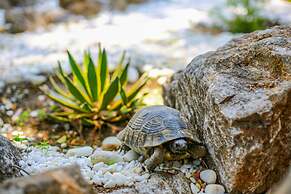 Yali Capkini Akyaka Boutique Hotel