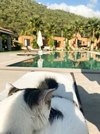 Riverside Gocek Apart Otel Tiny House