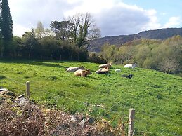Cuckoo Tree House, Glengarriff, Beara Peninsula