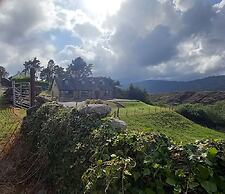 Cuckoo Tree House, Glengarriff, Beara Peninsula