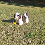 Villagio Embu Resort e Convention