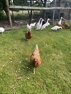 The penruddocke arms