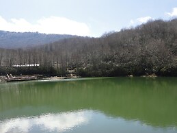 VCI - Elderberry Overlook