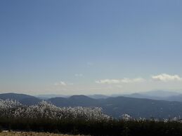 VCI - Elderberry Overlook