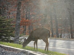 VCI - Elderberry Overlook