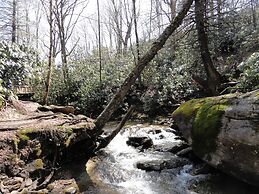 VCI - Elderberry Overlook