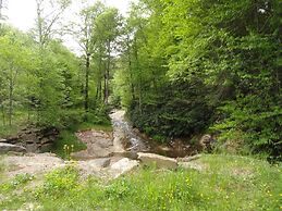 VCI - Elderberry Overlook