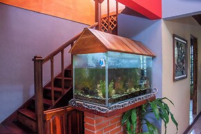 Gardens House, Airport Juan Santamaría, Alajuela, San Jose