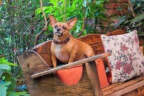 Gardens House, Airport Juan Santamaría, Alajuela, San Jose