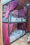 Gardens House, Airport Juan Santamaría, Alajuela, San Jose