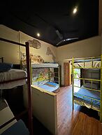 Volko Party Hostel