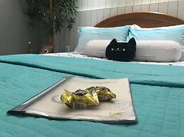 Pousada Casa dos Gattos - Prox Aero GRU