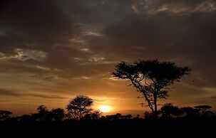 Ikoma Bush Camp