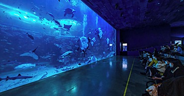 Shilla Stay Yeosu Expo Station