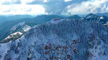 Countryside By Alcor