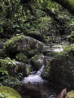 Arte de Plumas birding lodge