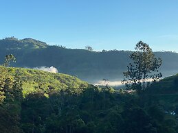 Arte de Plumas birding lodge
