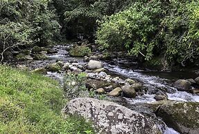Arte de Plumas birding lodge