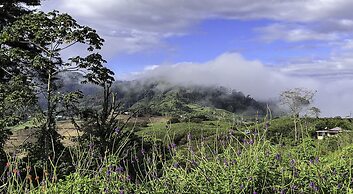 Arte de Plumas birding lodge