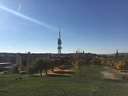 Ground Floor Apartment