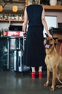 Waymore's Guest House & Casual Club