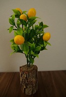 LİMON OTEL KIYIKÖY