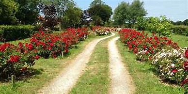 Brundish, Suffolk Large 4-bed Barn Stunning!