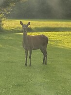 Brundish, Suffolk Large 4-bed Barn Stunning!