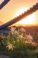 Feri Surf Hotel Datça