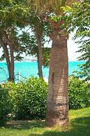 Feri Surf Hotel Datça