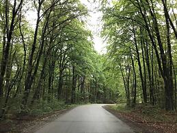 Beautiful Wooden Cottage in Nature, Croatia