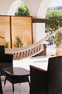 Orchid House Baja & Beach Club